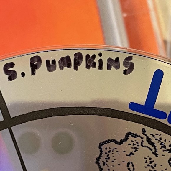 Smashing Pumpkins Shoot Out the Lights LIVE CD Chicago IL Oct 1995 Italy PD105 - Picture 11 of 12